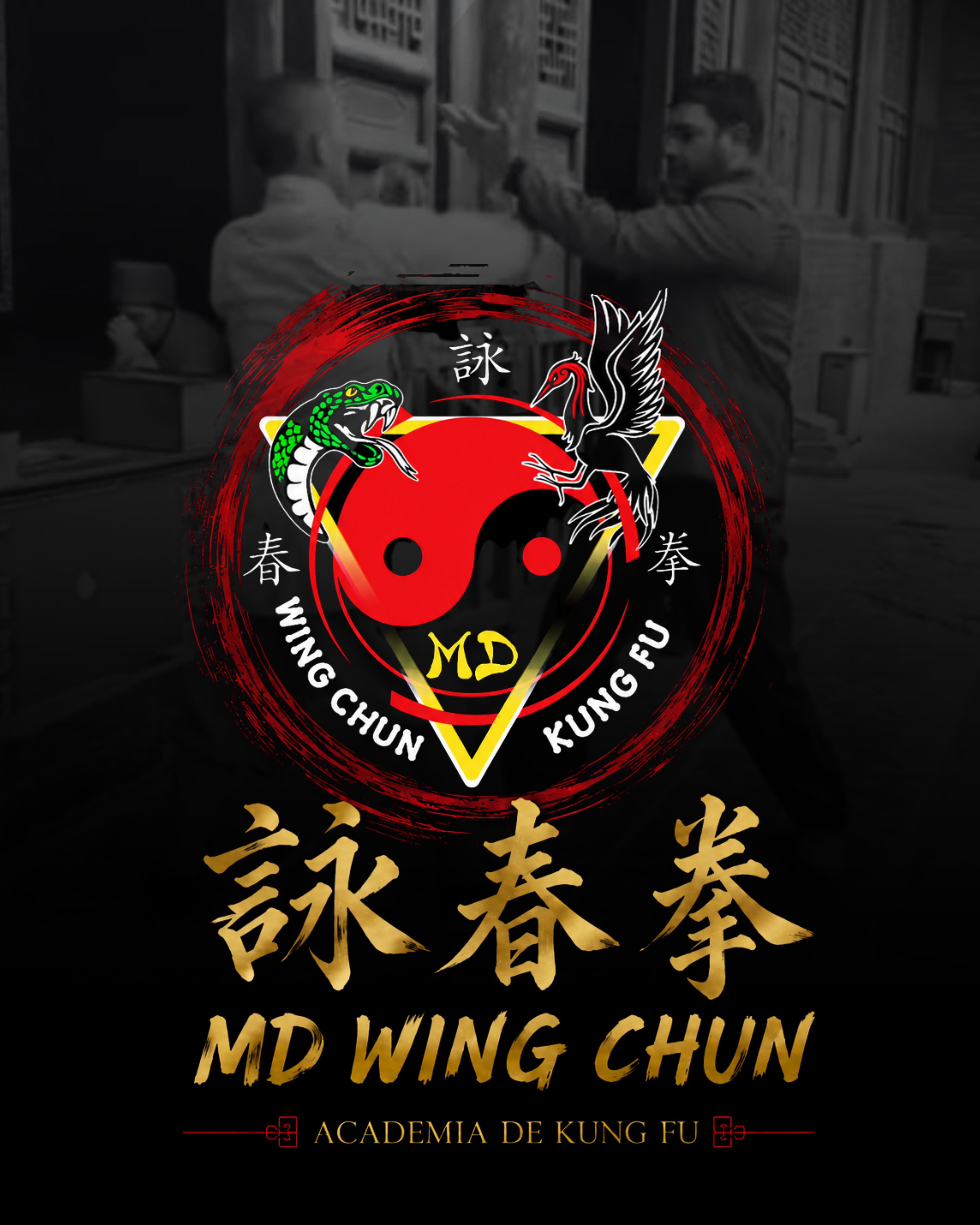 Aulas de Kung Fu e Defesa Pessoal MD Wing Chun em Curitiba